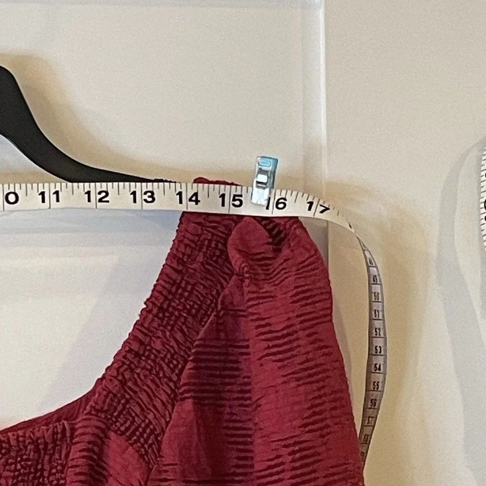 Anthropologie Womens M Shirt Top Sheer Puff Sleeve Smocked Corset Raspberry $120